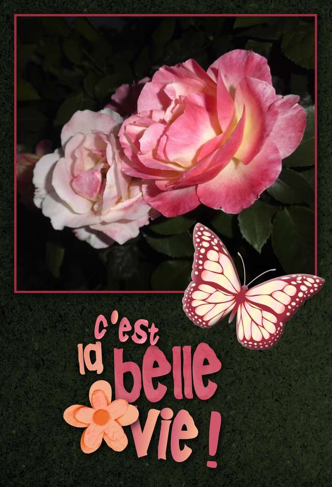 LOVE - C'EST LA BELLE VIE