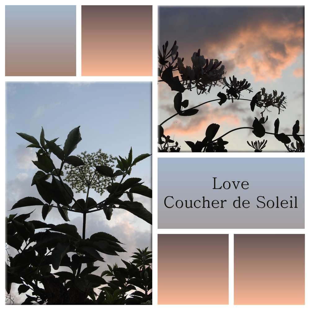 LOVE COUCHER DE SOLEIL