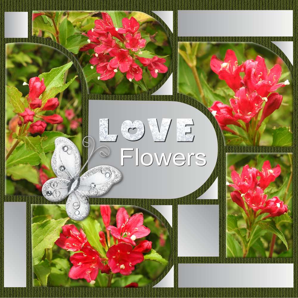 LOVE FLOWERS