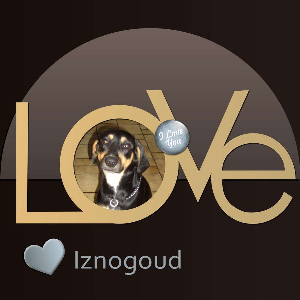 LOVE IZNOGOUD