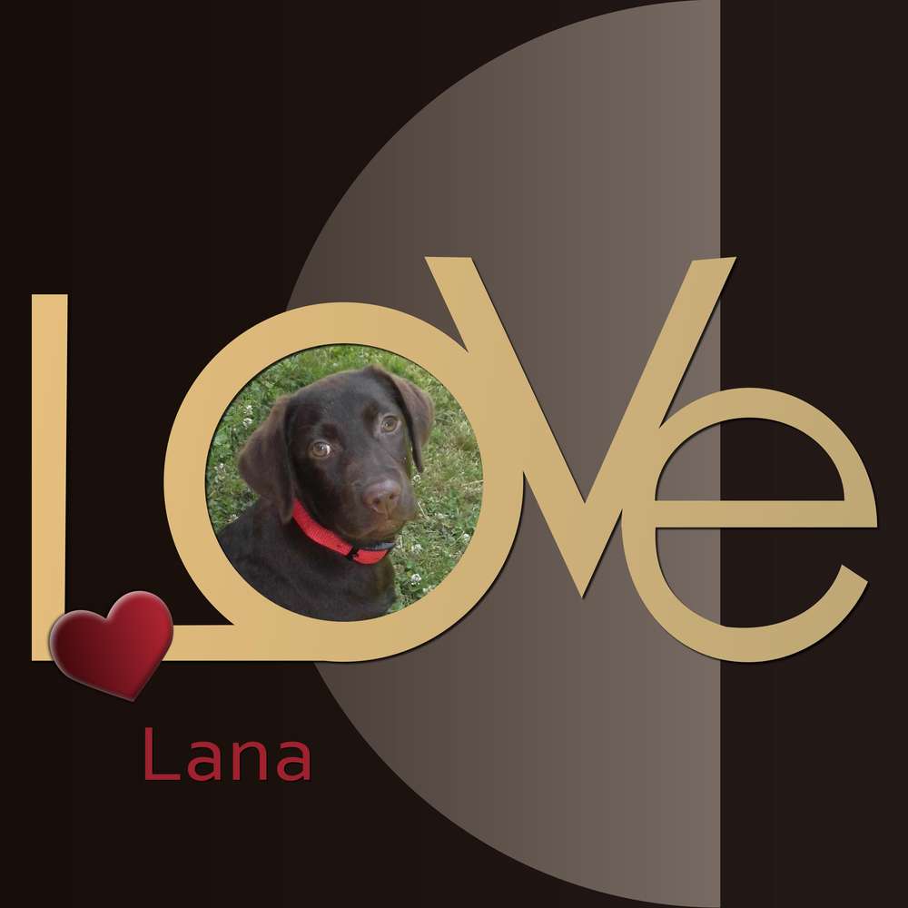 LOVE LANA