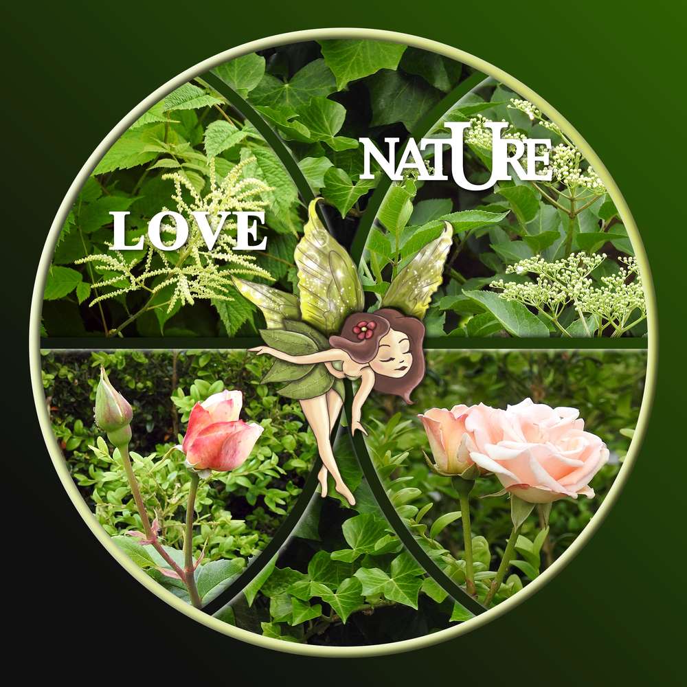 LOVE NATURE