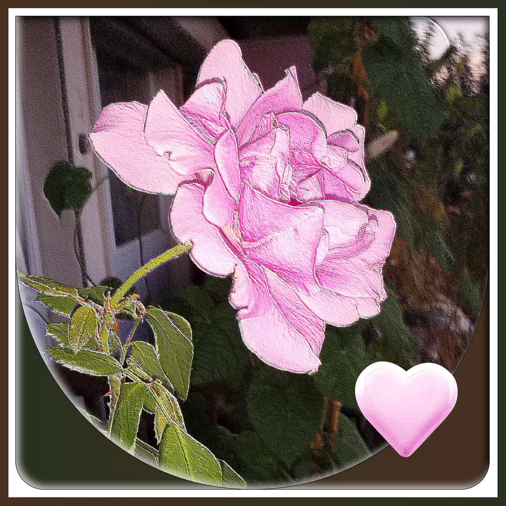 LOVE ROSE DE L'AMITIE