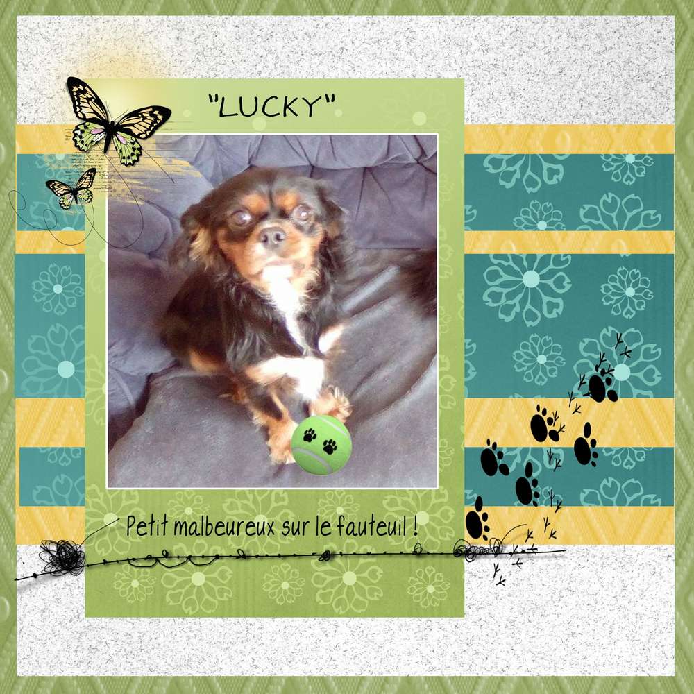 LUCKY, template Gilberte