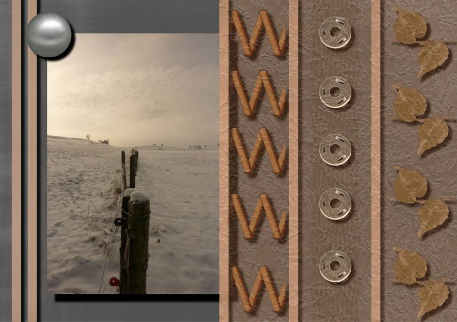 Lueur d'un matin glaçé