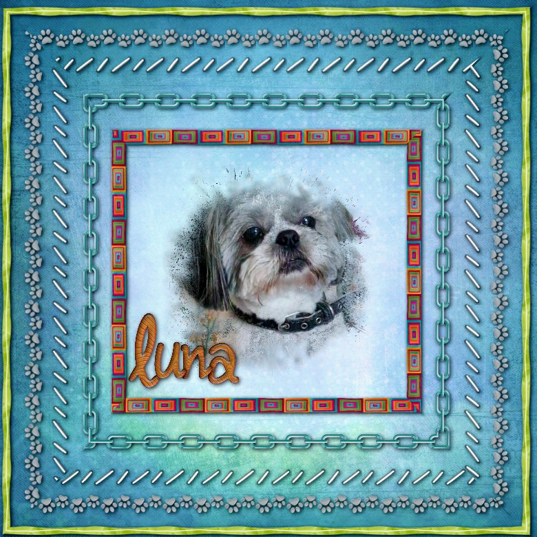 Luna bien  encadrée