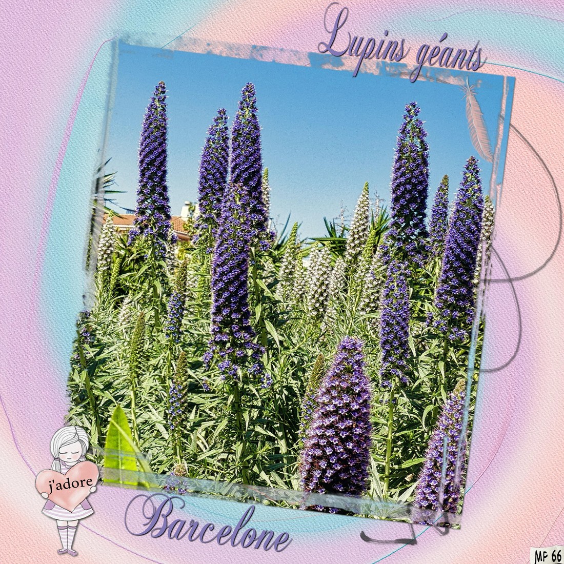 Lupins géants Barcelone 27 mars 2024.jpg