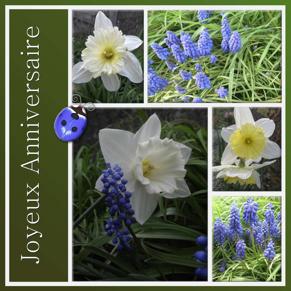 LUTKA (GENEVIEVE) - JOYEUX ANNIVERSAIRE