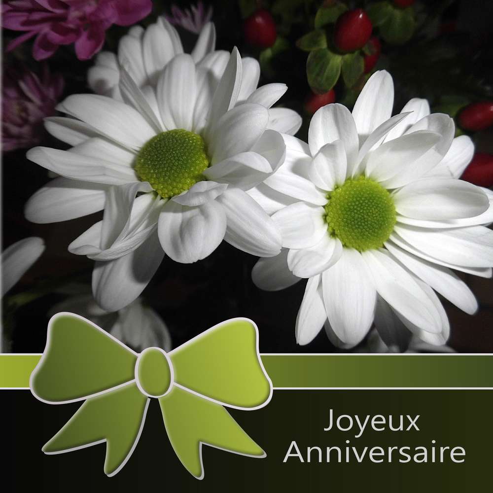 LUTKA (GENEVIEVE) - JOYEUX ANNIVERSAIRE