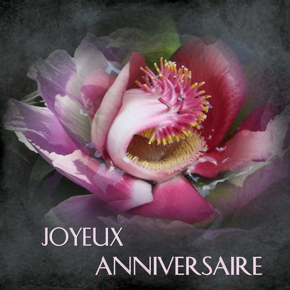 LUTKA - JOYEUX ANNIVERSAIRE
