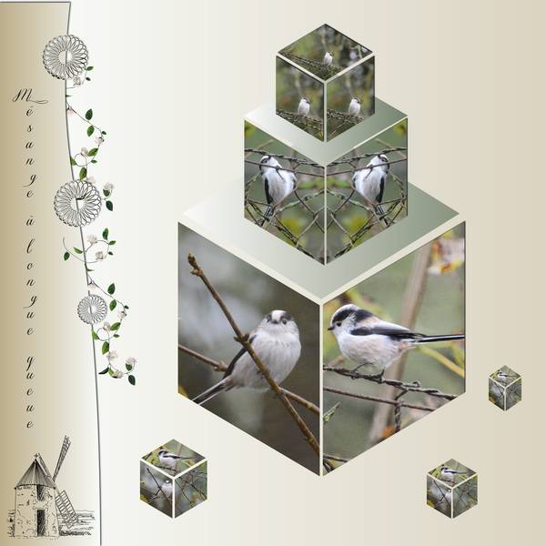 M__sange____longue_queue