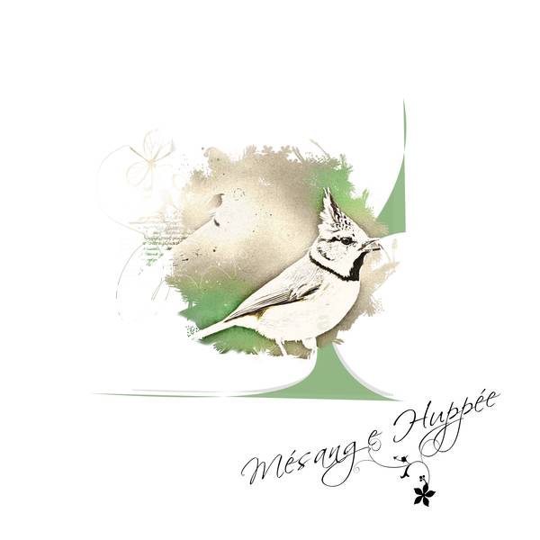 m__sange_hupp__e_1_dessin