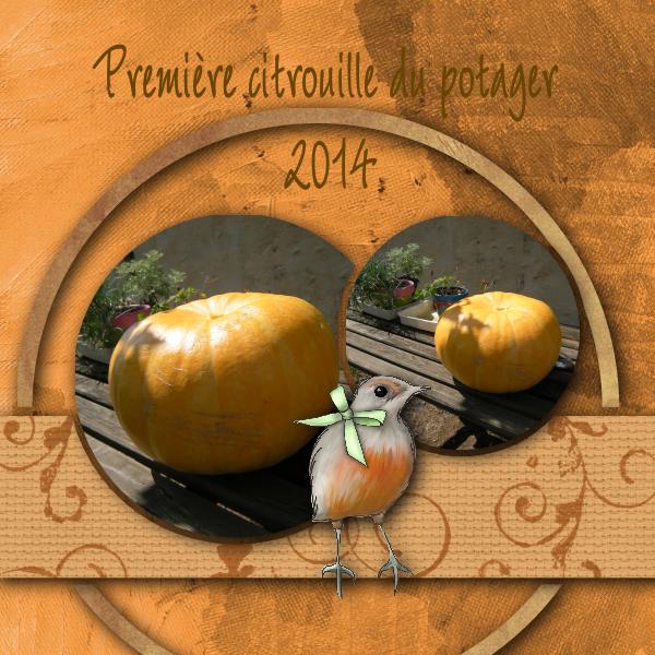 Ma 1ère citrouille ...