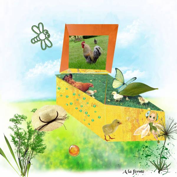 MA BOITE Défi Moysson