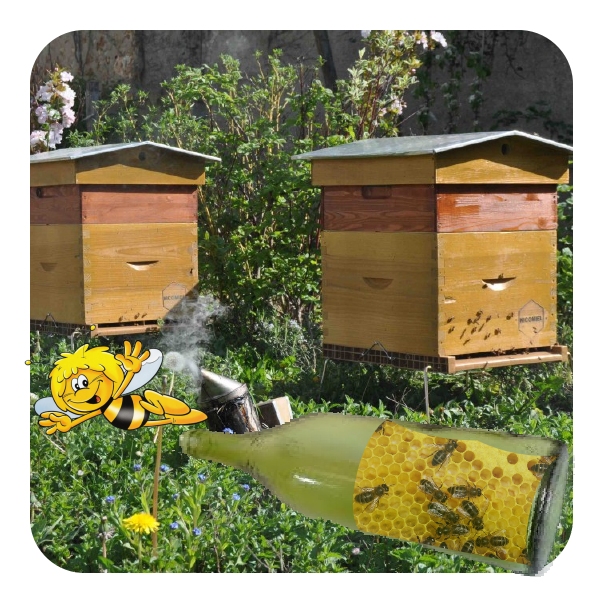 Ma bouteille à la Mer