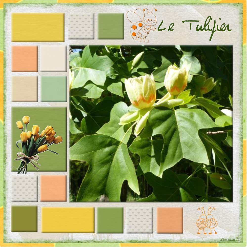 MA PAGE 5 DU JOUR CHALLENGE MF