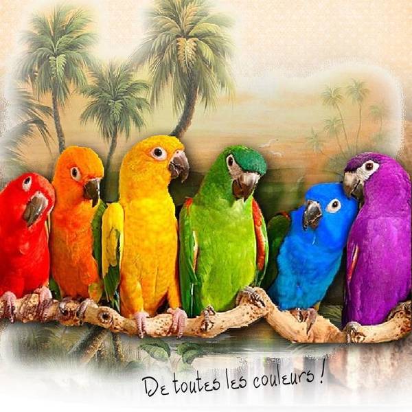 Ma page pour le défi