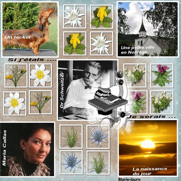 Ma participation au défi de Huppe