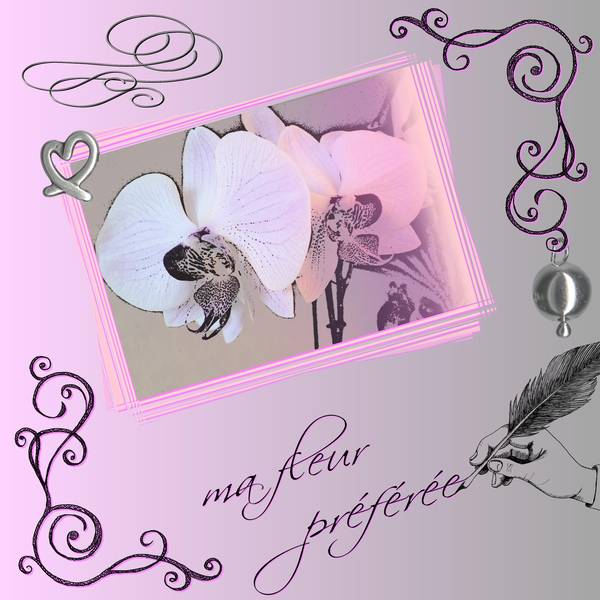 ma_fleur_pr__f__r__e