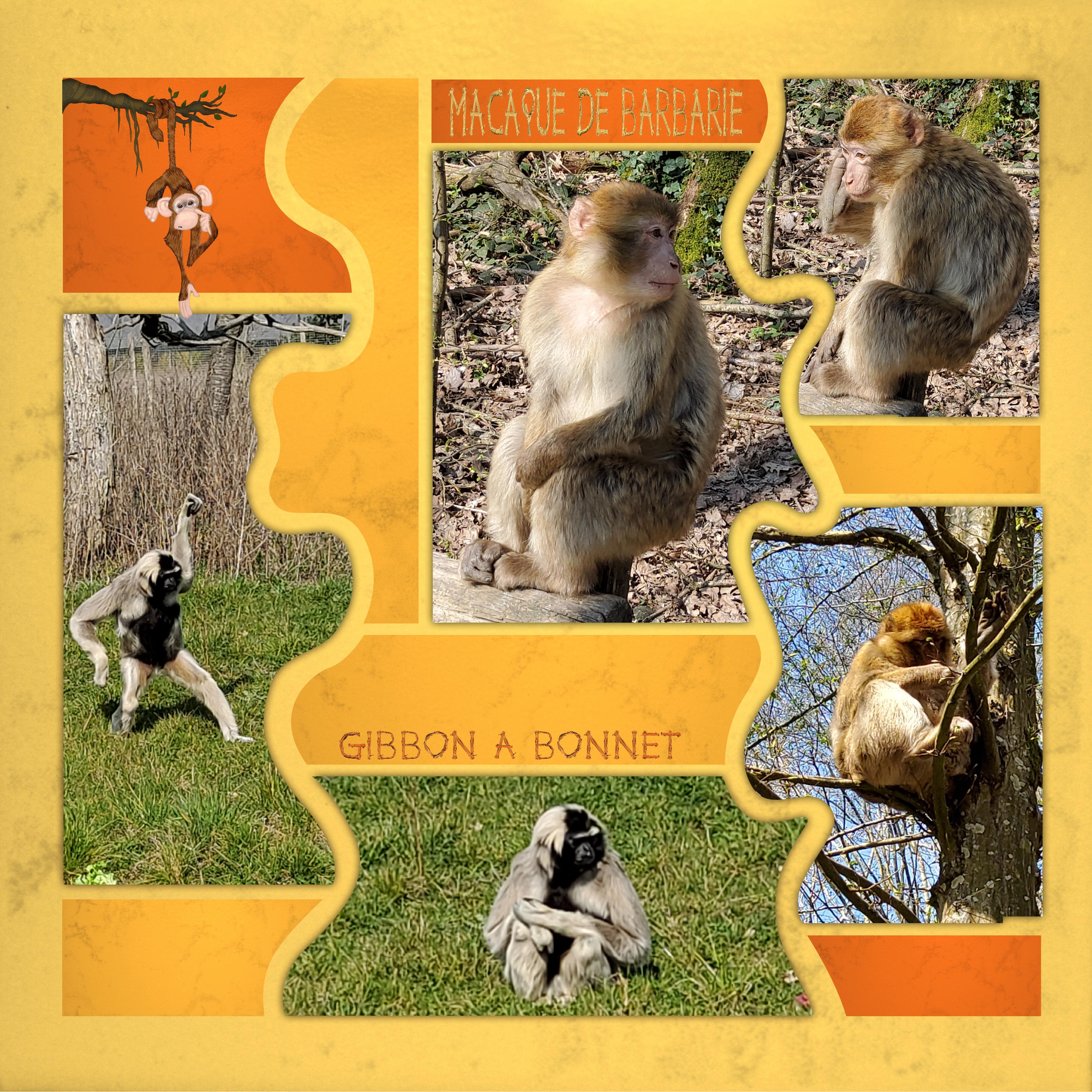 Macaques (page 4).jpg