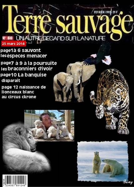 magasine de laurette