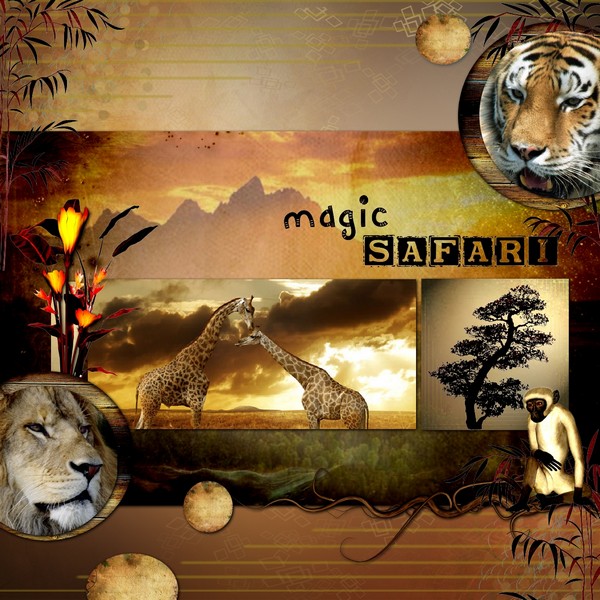 magic_safari
