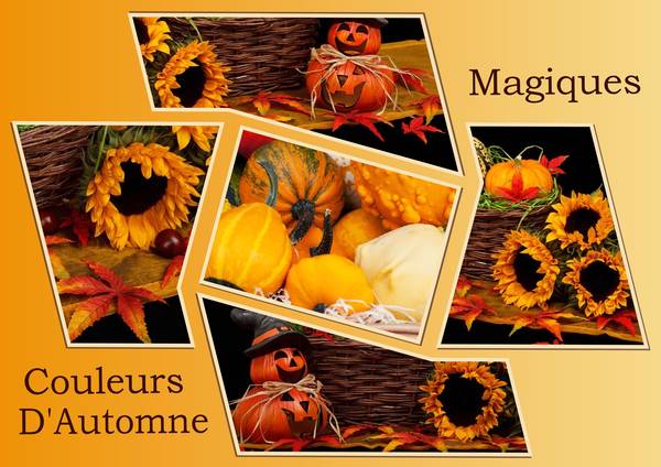 MAGIQUES COULEURS D'AUTOMNE