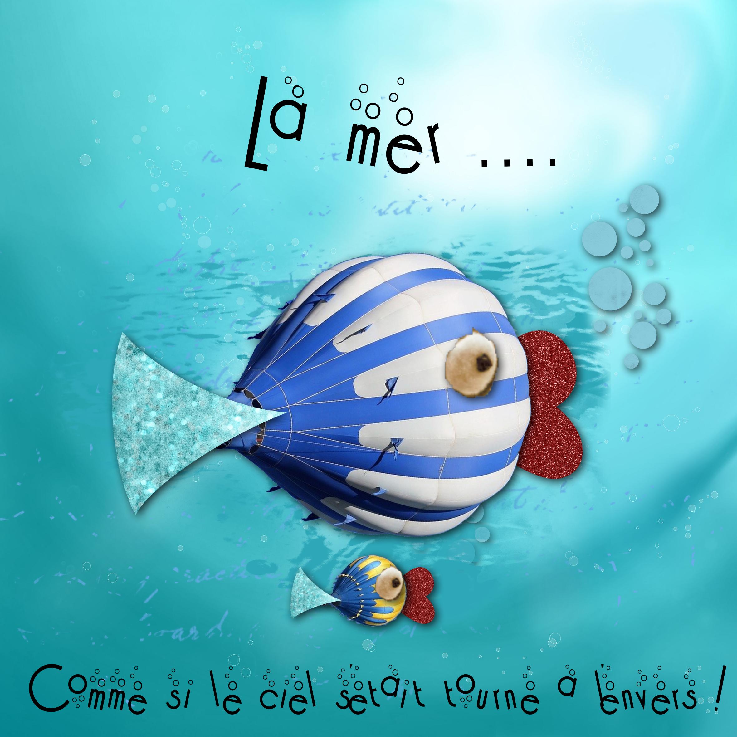 magnifique mongolfière .jpg