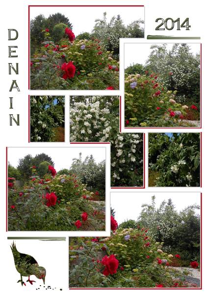 MAGNIFIQUES FLEURS PRINTANIERES