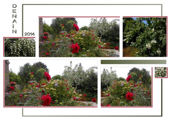 MAGNIFIQUES FLEURS PRINTANIERES