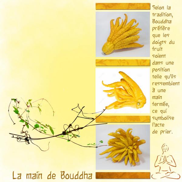 Main de Bouddha