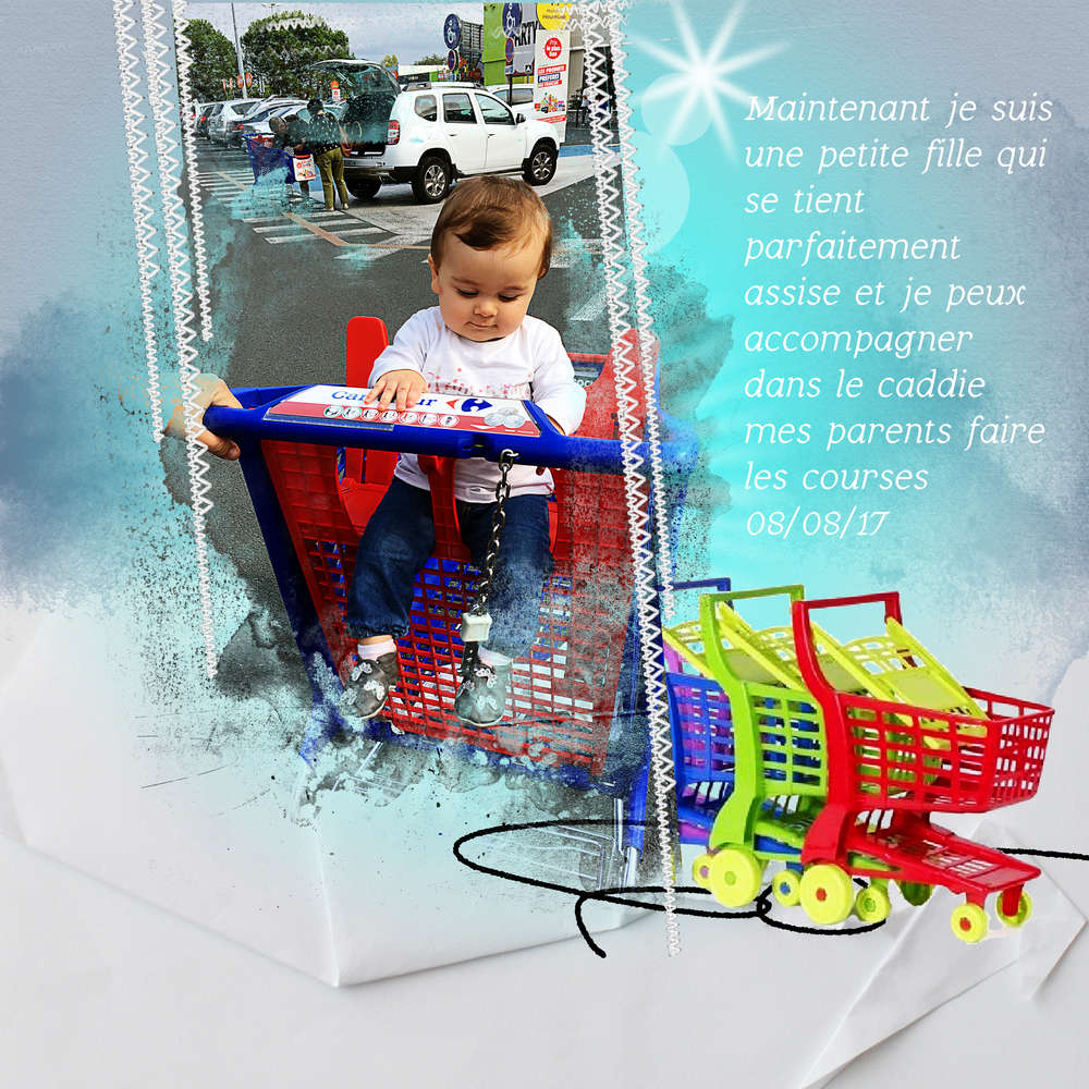 maintenant_je_fais_les_courses