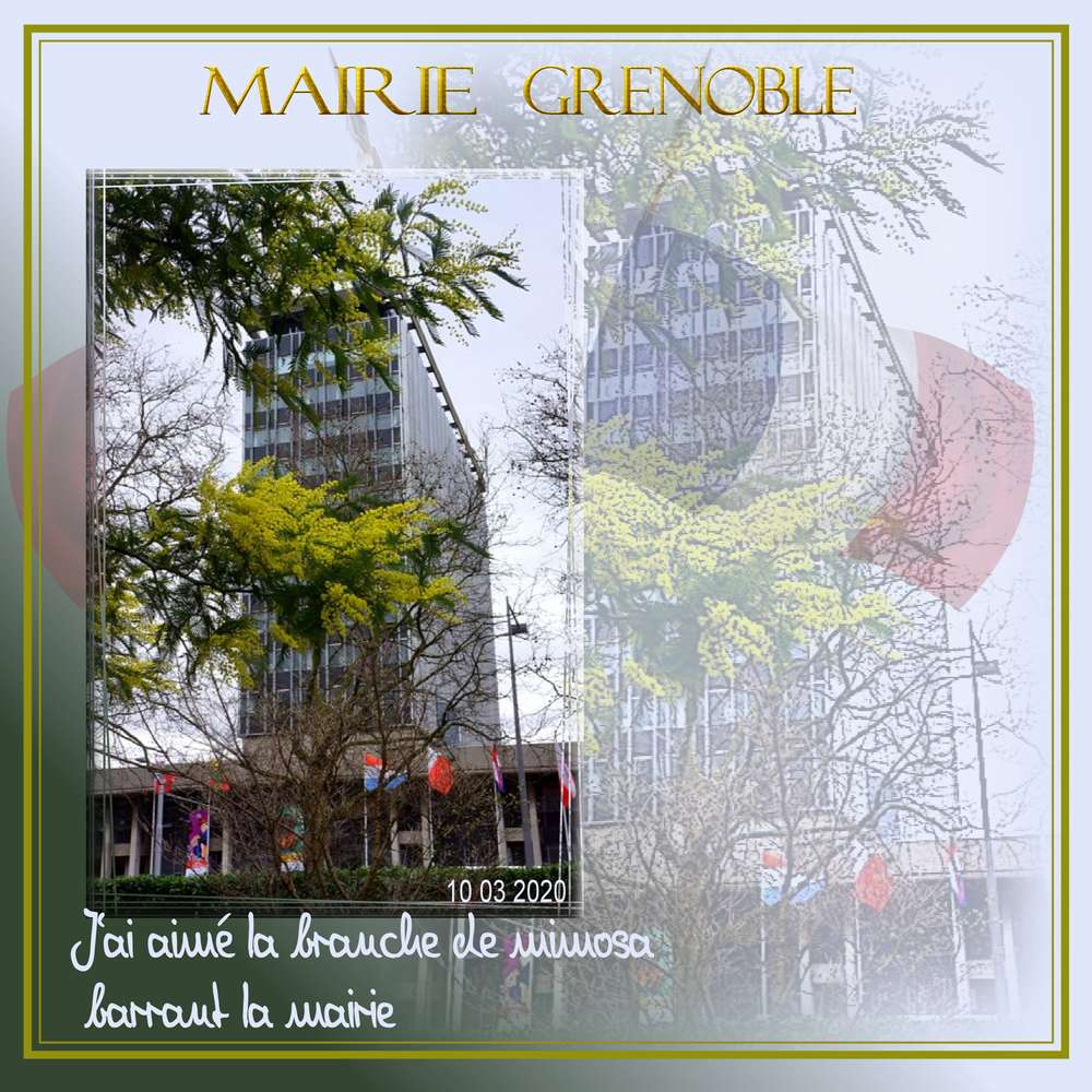 Mairie de Grenoble