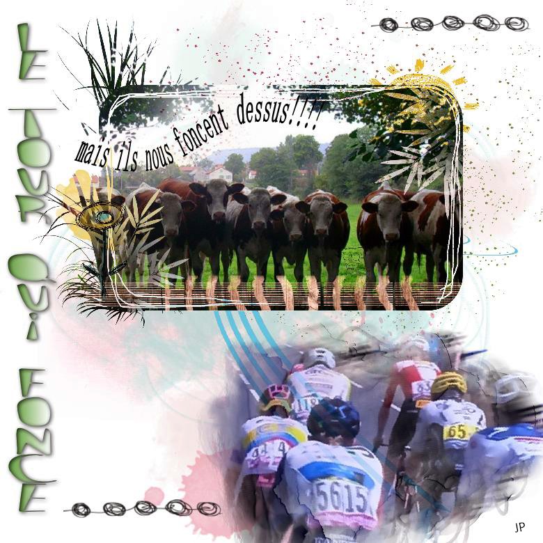 mais ils nous foncent dessus!!!.jpg