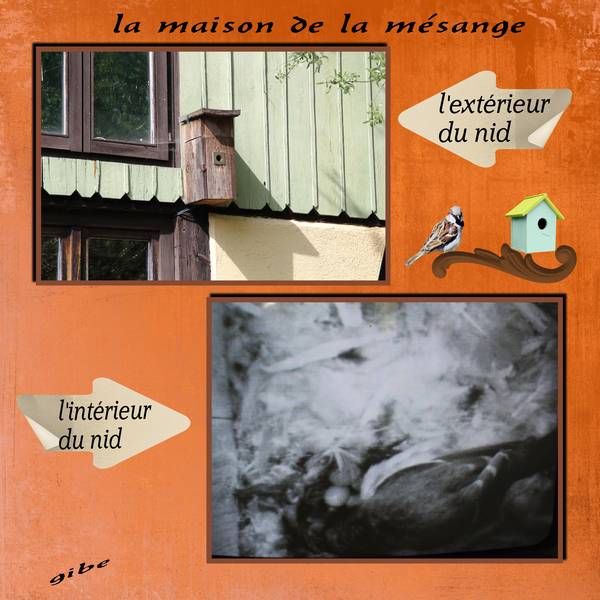 maison_de_la_mesange