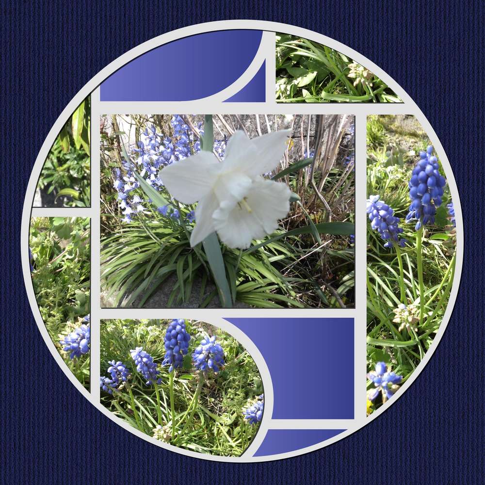 MAIVONNE - JOYEUX ANNIVERSAIRE