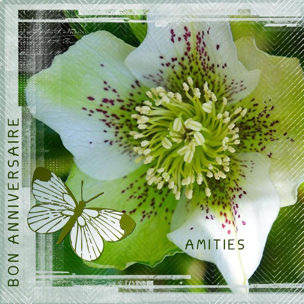 MALOU - JOYEUX ANNIVERSAIRE