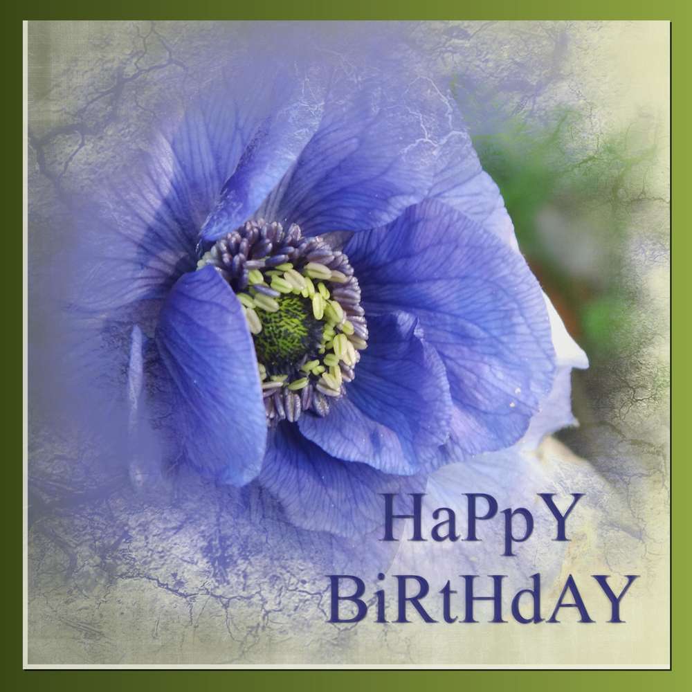 MAMYMUMU - HAPPY BIRTHDAY