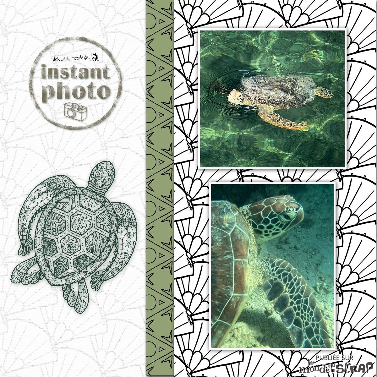 Mandala tortue