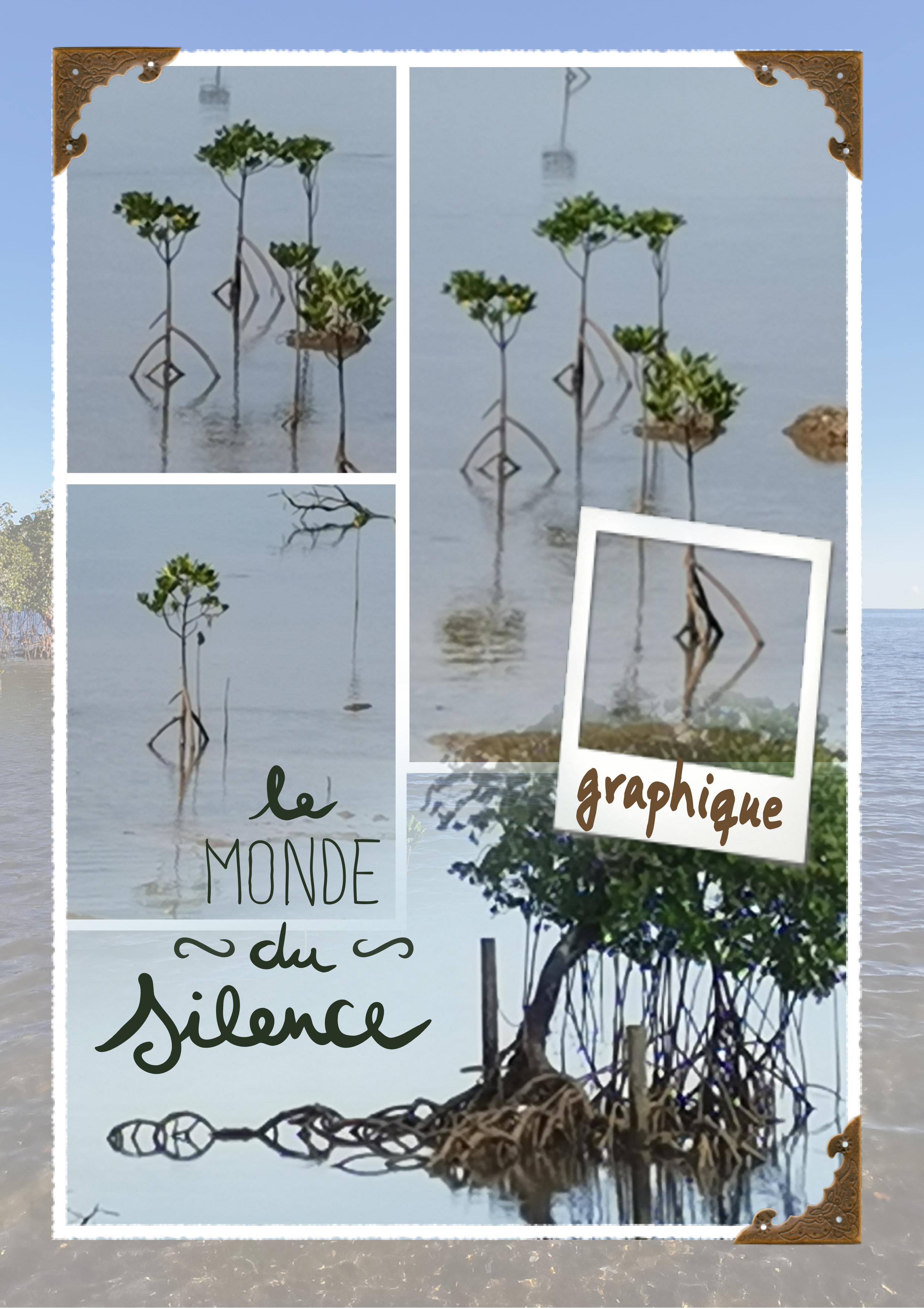 Mangrove graphique.jpg