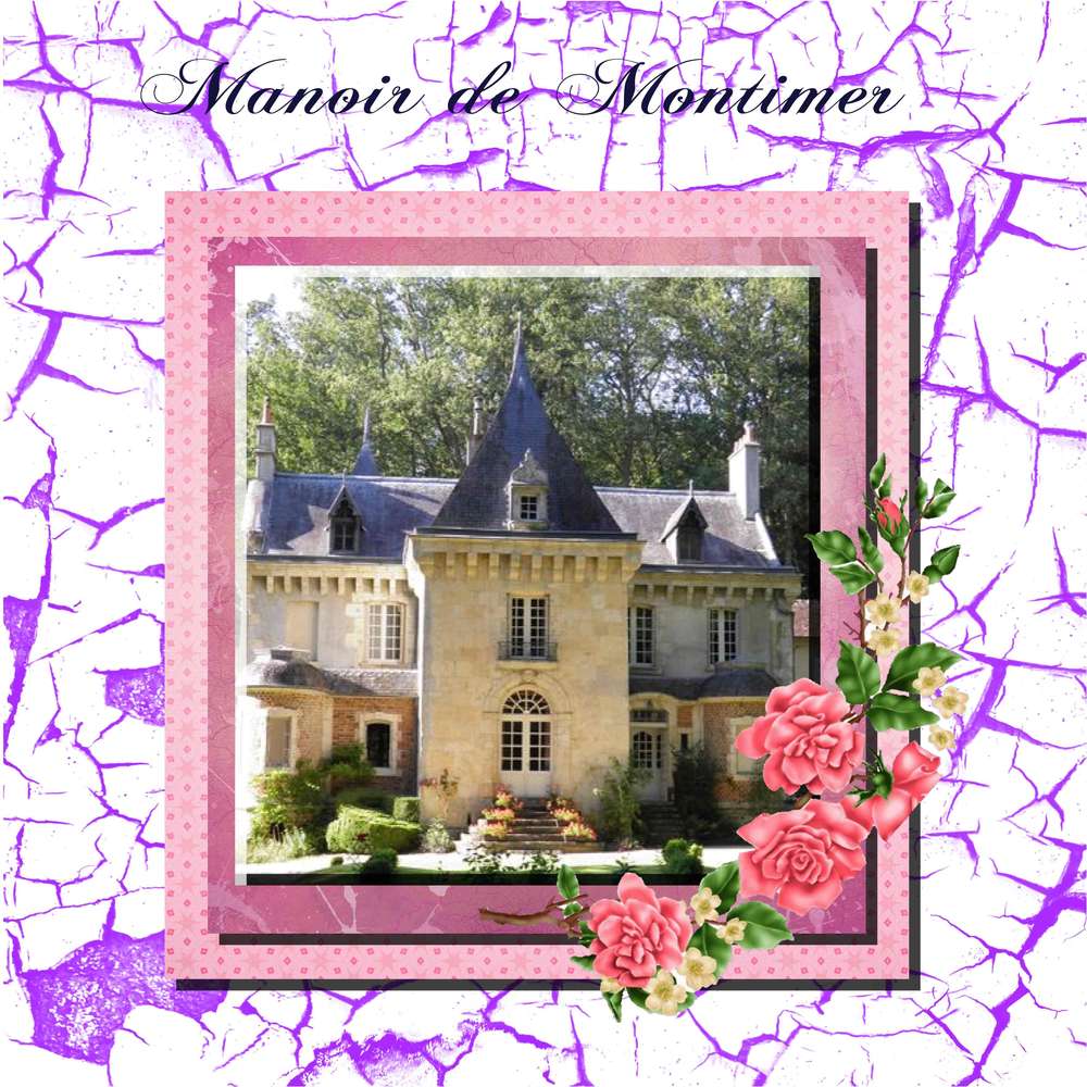 Manoir de monthimer