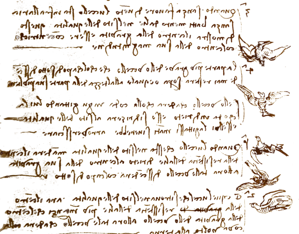 manuscrit et silhouettes