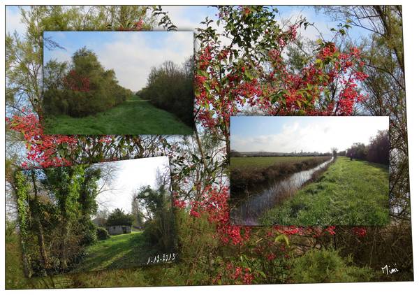 Marais Talmont sur Gironde