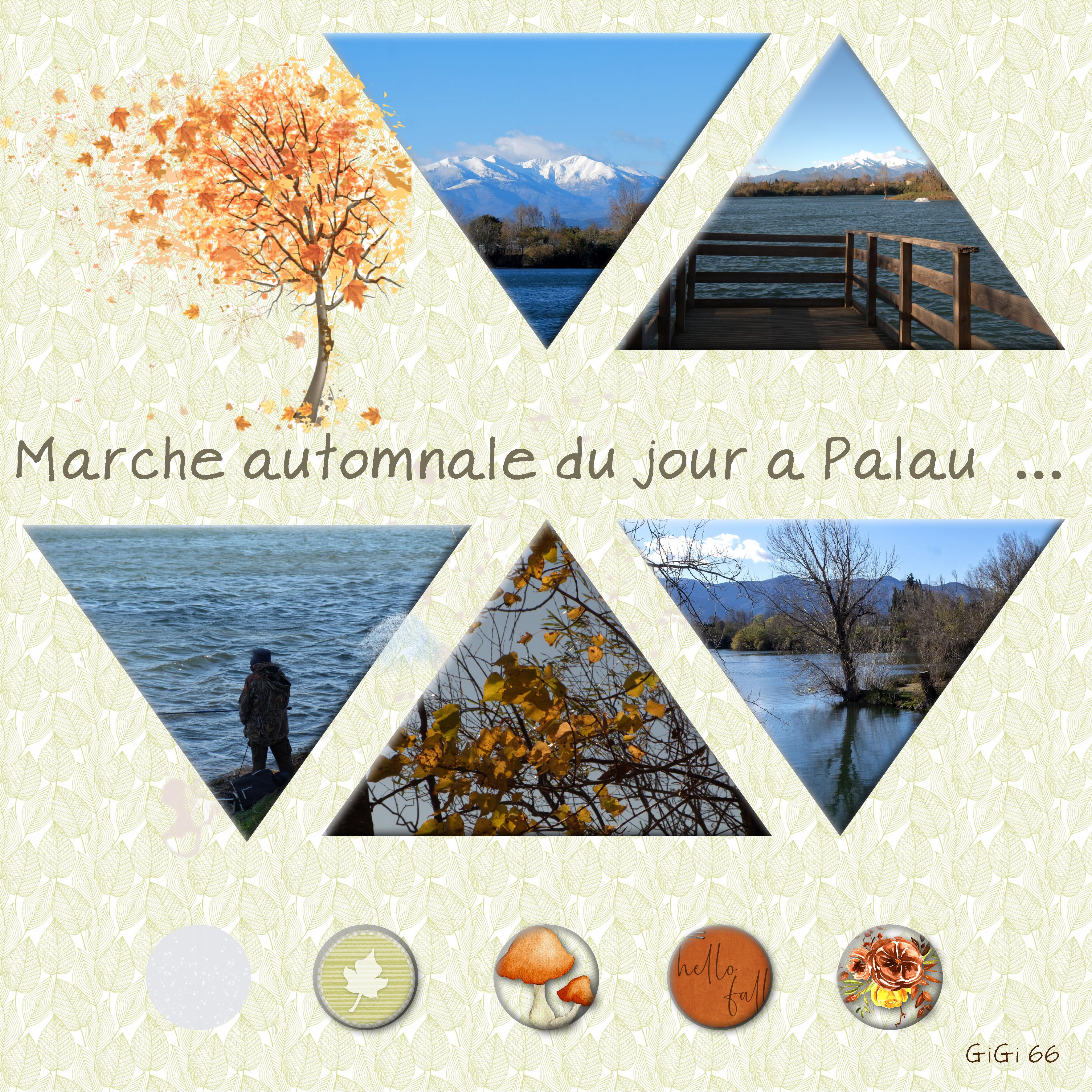 marche-automne .jpg