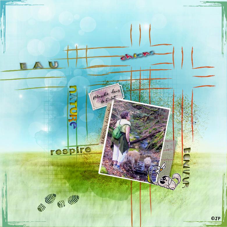 Marche avec les chiens