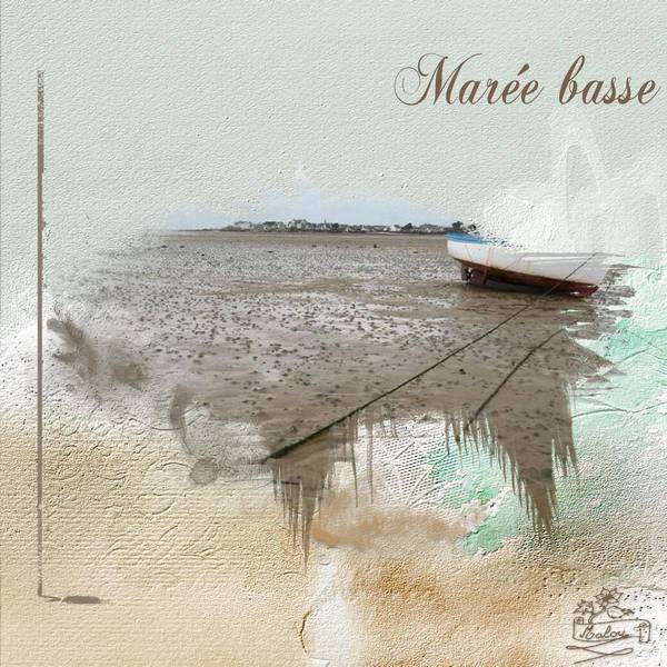 Marée basse en Bretagne...