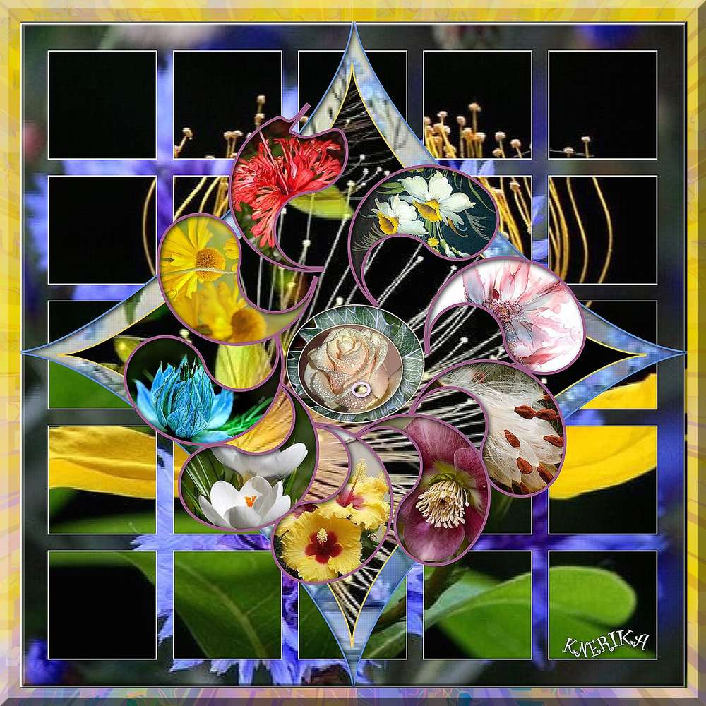 marguerite_et_grille_