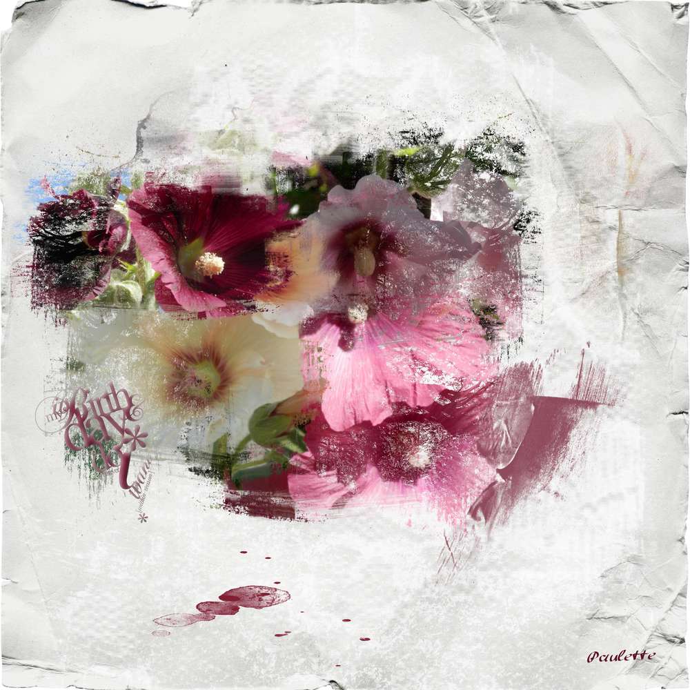 marie france c'est ton jour