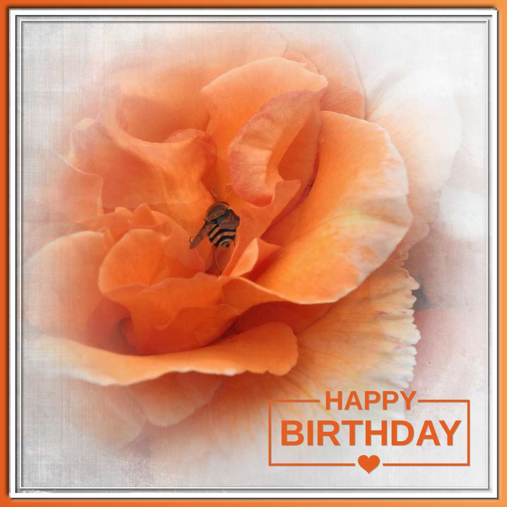 MARIE-FRANCE - HAPPY BIRTHDAY