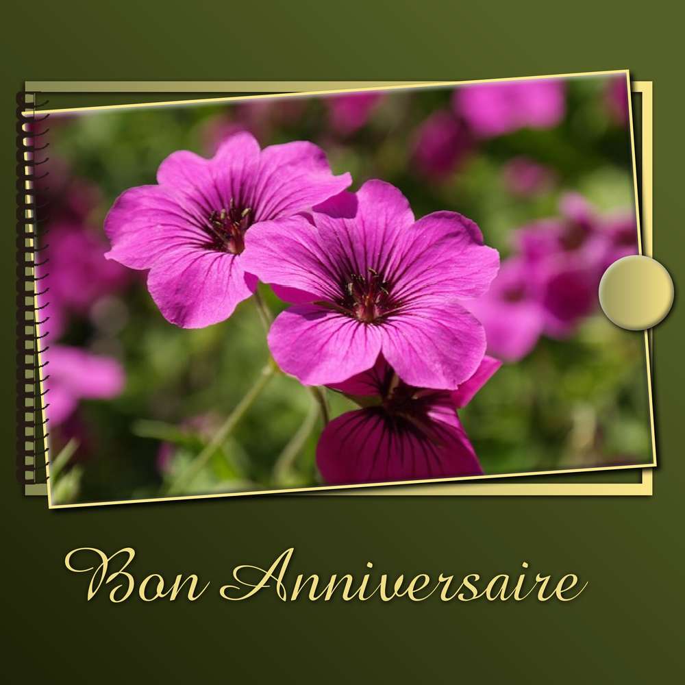 MARIE-LAURE -- BON ANNIVERSAIRE